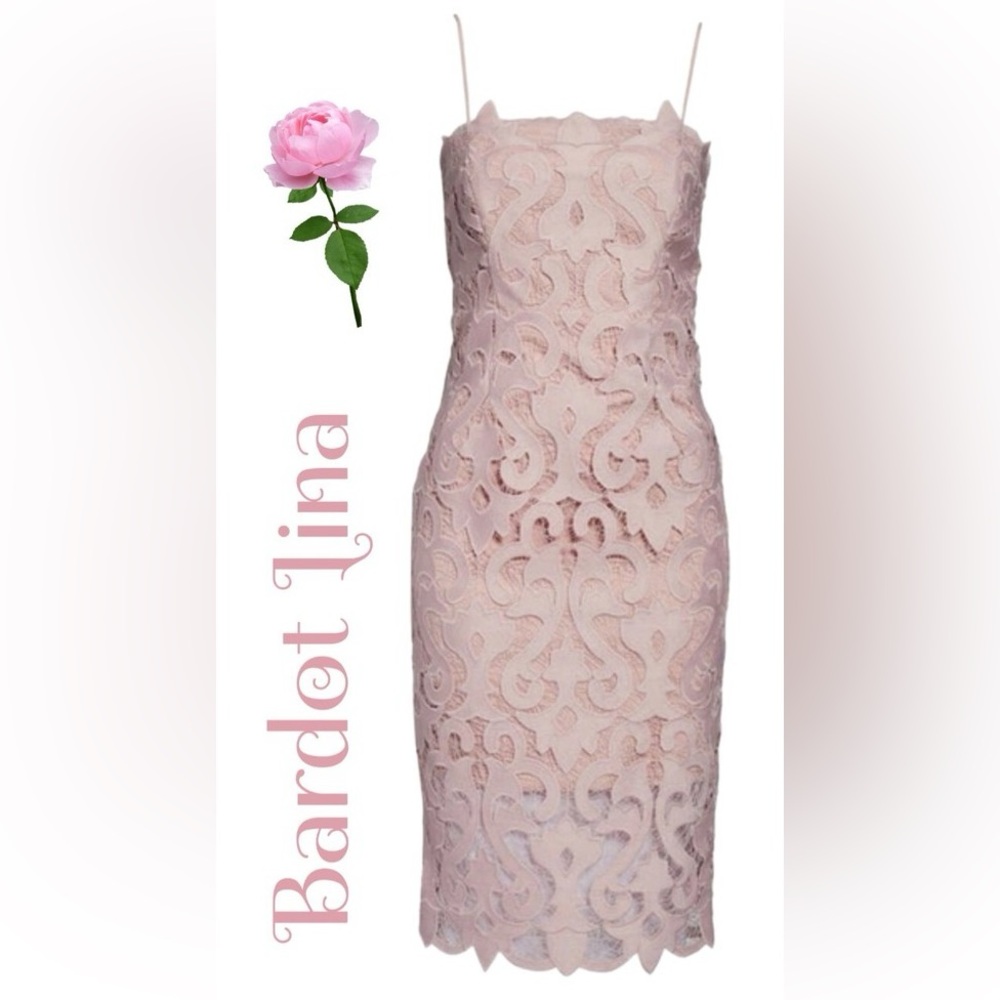 Bardot Blush Lace Dress